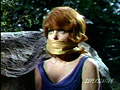 GilligansIsland-AllAbout